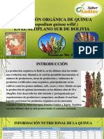 Producción orgánica de quinua en el Altiplano sur de Bolivia