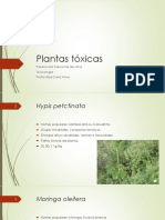 Plantas Tóxicas e seus Princípios Ativos