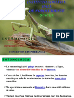 Entomología e insectos