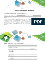 Anexo Orientaciones para el desarrollo del caso práctico.pdf