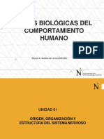 Sesión 3 Estructura de La Célula Animal y Neurona