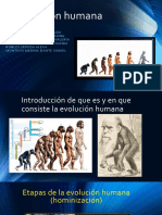 Evolución Humana