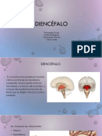 Diencéfalo