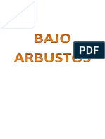 Bajo Los Arbustos