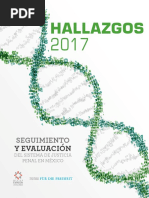 Hallazgos2017-2
