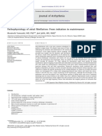 Journal of Arrhythmia: Masatoshi Yamazaki, MD, PHD, Jose Jalife, MD, Fhrs