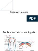 Embriologi Jantung