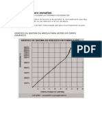 A Queima Cerâmica