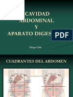 Cavidad abdominal y aparato digestivo