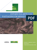 Estado Da Arte Das Pastagens em Minas Gerais - INAES - MAPA 2015