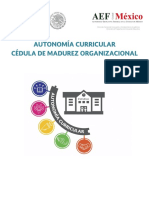 Ce - Dula de Madurez Organizacional