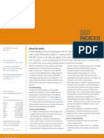 S&P Indices