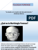 Morfologia Forense