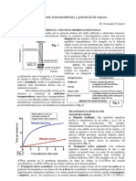 Transporte Transmembrana y Potencial Reposo