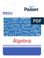 S1 Expresión Algebríca - 3RA CLASE PDF