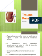 Traumatismorenal 120918023820 Phpapp01