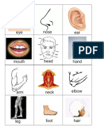 PARTES DEL CUERPO INGLES