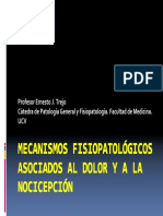 Dolor PDF