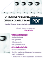 28. Cuiddaos de enfermeria en ORL y Maxiofacial en CMA .pdf