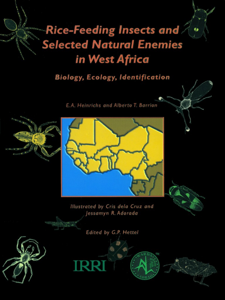 Rice Feeding Insects And Selected Natural Enemies In West Africa Pdf West Africa Rice