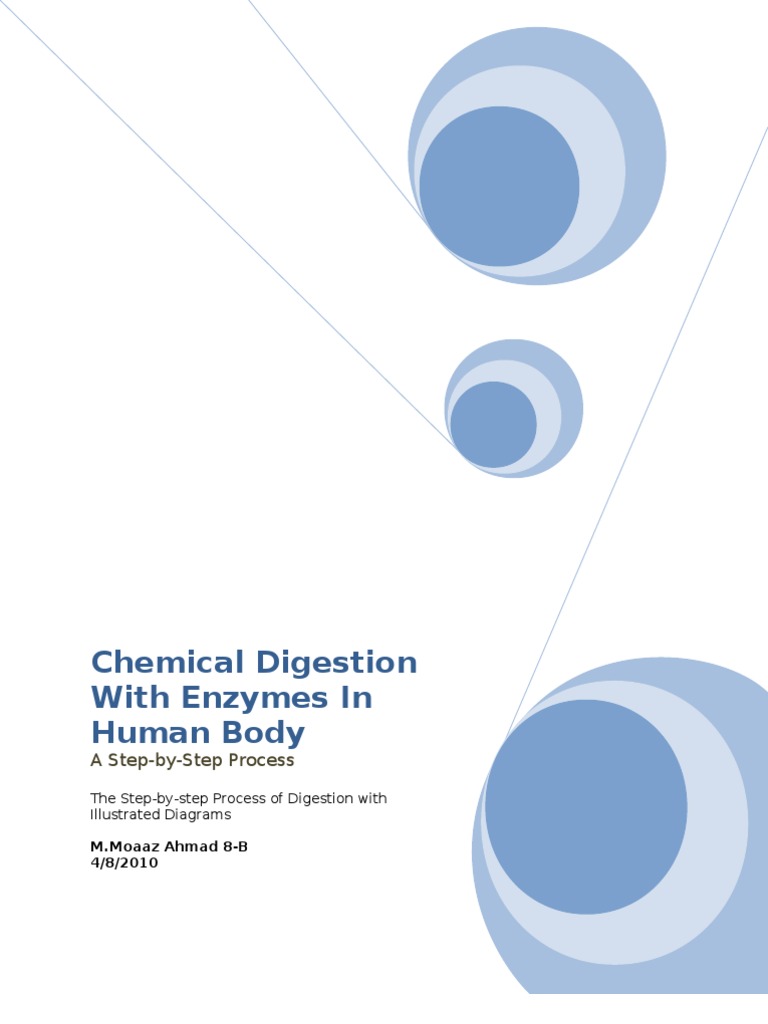 Chemical Digestion With Enzymes in Human Body Word 97-2003 | Digestion