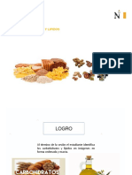 3 SEMANA CARBOHIDRATOS LIPIDOS (1).pdf