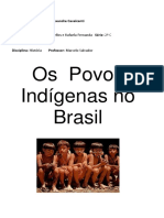 Os Povos Indígenas No Brasil