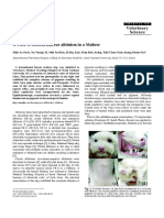 Veterinary Science A Case of Oculocutaneous Albinism in A Maltese