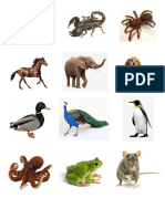 animales imagenes.docx