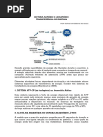 sistema-aerobio-e-anaerobio-transferencia-de-energia.pdf