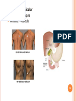 Pares de Acuerdo A Padecimientos PDF