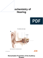 Biochemistry of Hearing