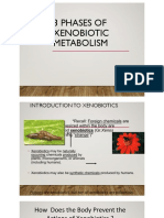 Xenobiotic Metabolism PDF