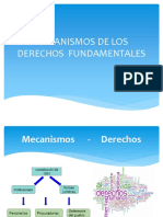 Mecanismos de Los Derechos Fundamentales