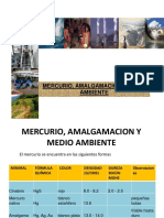 15.Mercurio_Amalgamación y Medio  Ambiente_2016_1.ppt