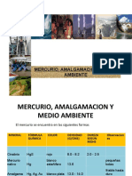 Mercurio_Amalgamación y Medio Ambiente_2016_1