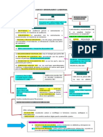 Esquemas Proceso Laboral