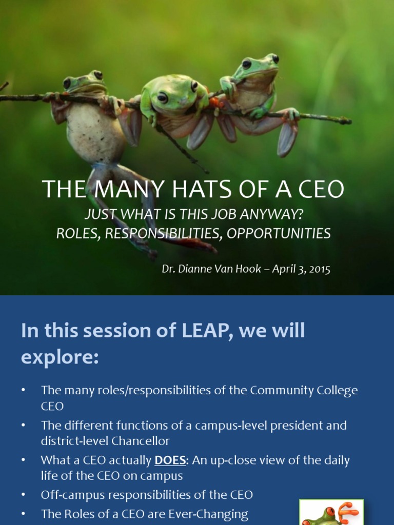 The Many Roles Of A Ceo | Pdf | Chief Executive Officer | Employment