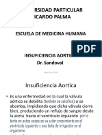 Sindrome de Insuficiencia Aortica