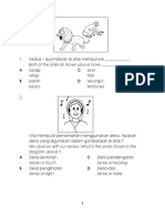 Science Year 1 Ujian 1 (Mac) - DLP