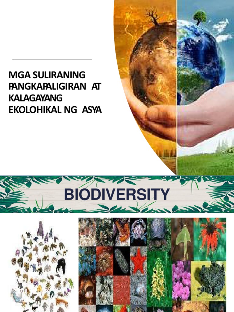 Suliraning Pangkapaligiran Sa Asya