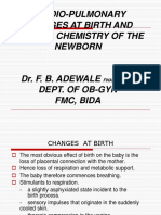 Cardiopulmonary Changes at Birth-1 - 177632392