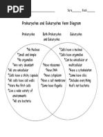 Prokaryote Vs Eukaryote VENN DIAGRAm