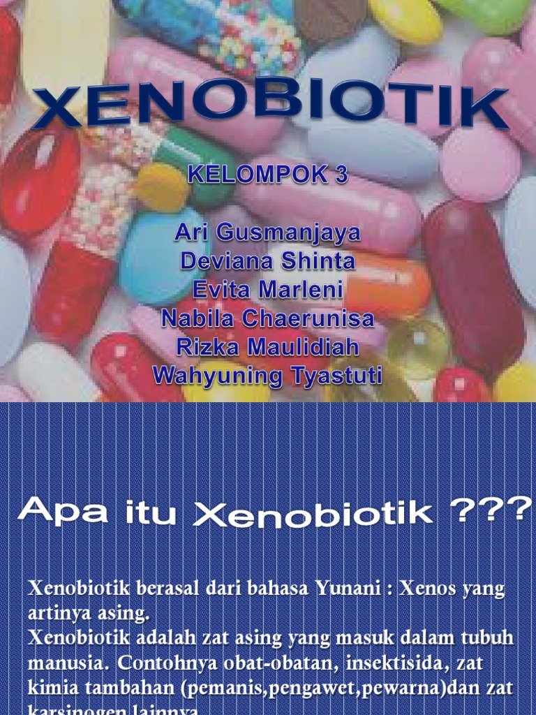 Xenobiotik