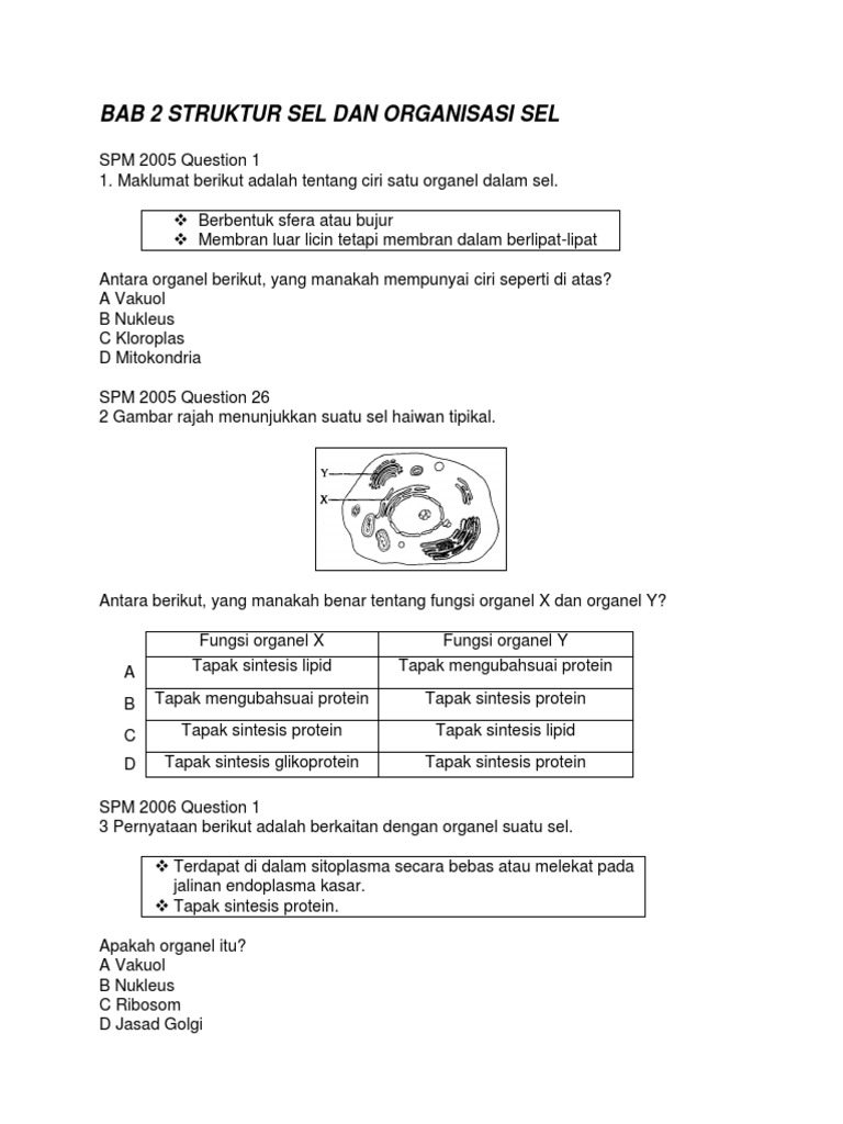 Soalan Quiz Tingkatan 4 Pdf