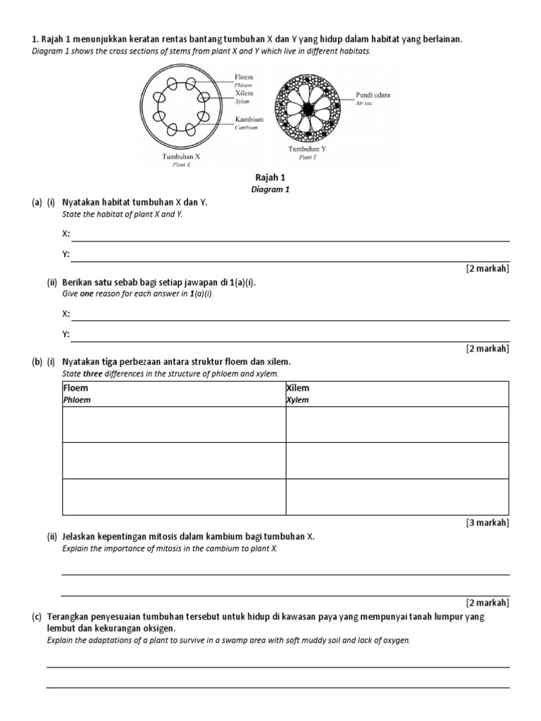 Tusyen F5 Pdf