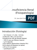 Insuficiencia Renal