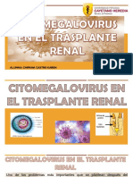 Citomegalovirus en EL Trasplante RenaL