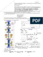  Gluconeogenesis