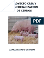 Proyecto Cerdos Ali Parababi